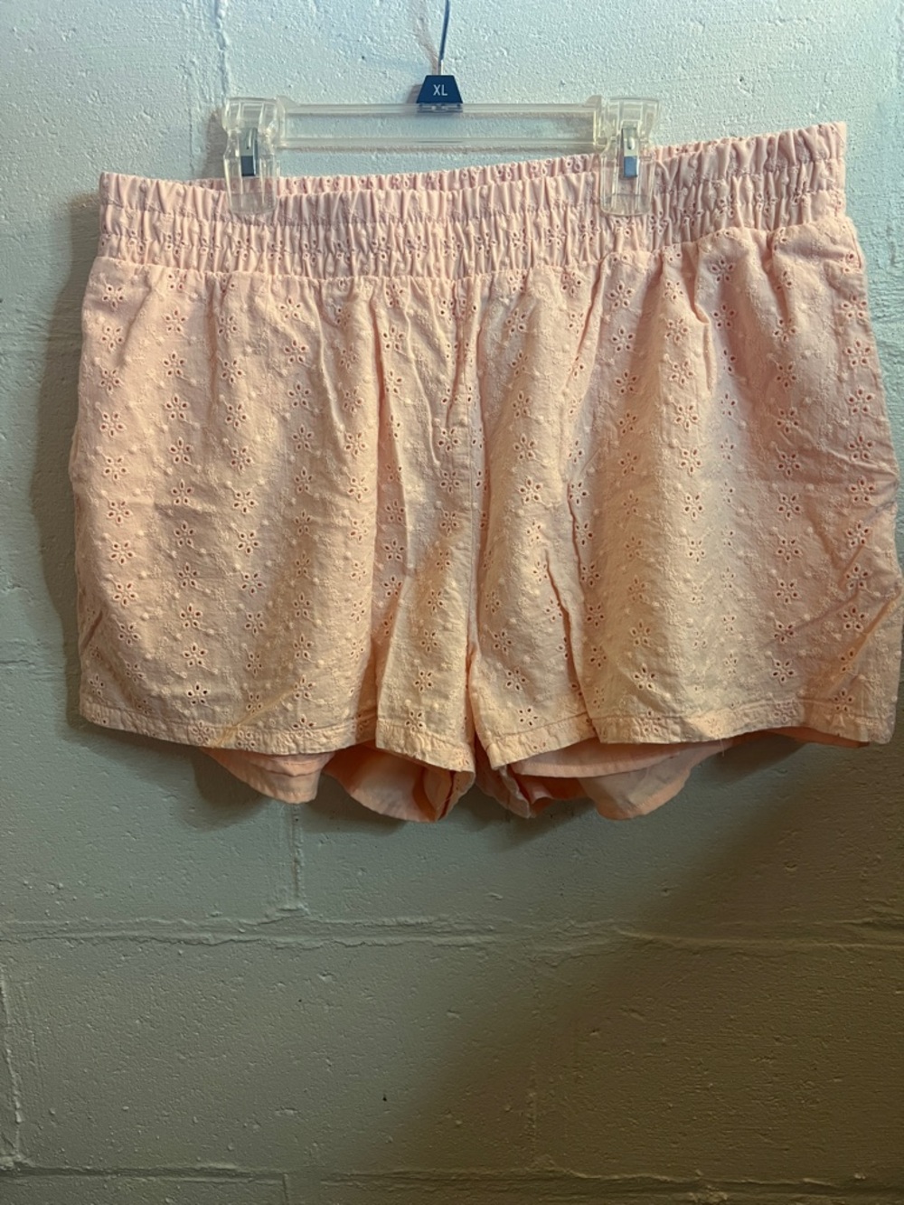 Divided Peach Eyelet Elastic Waist Shorts